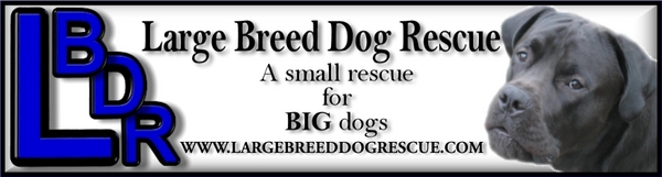 Large Breed Dog Rescue