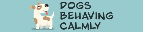 Dogs Behaving Calmly