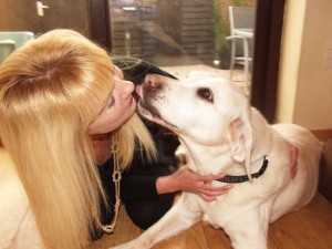  Oliver our beautiful Labrador and our journey