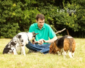 It is important to supervise your pet at the dog park