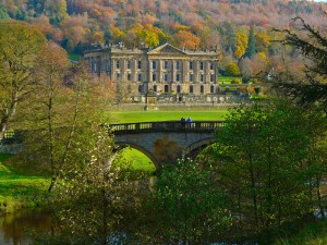 Dog Walking in Chatsworth House The Peak District