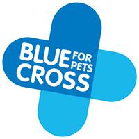 Blue cross 1
