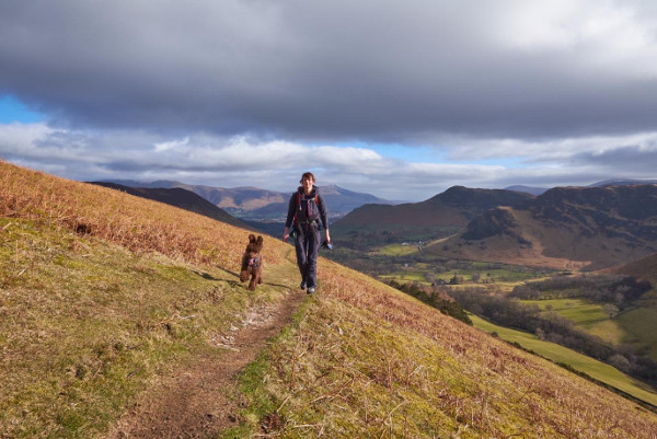 Dog friendly holidays in Keswick