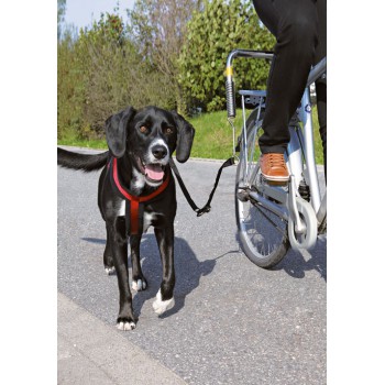 biker set for large dogs