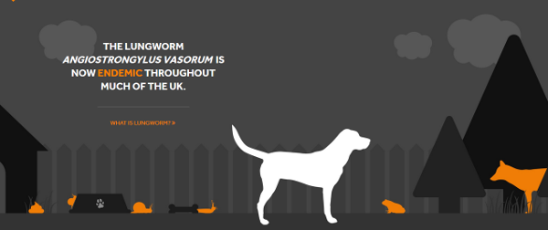 Best treatment for online lungworm in dogs