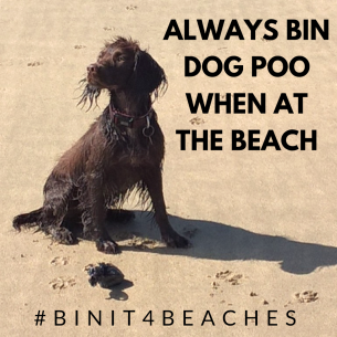 Dog poo on beaches