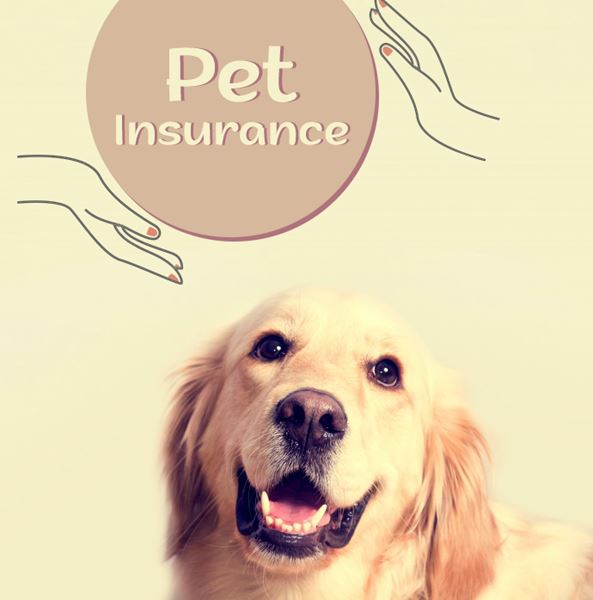 Pet insurance