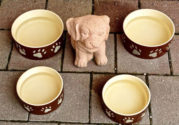 Stoneware Dog Bowls