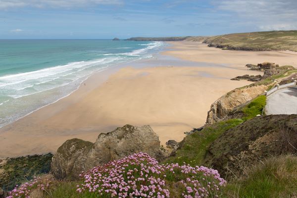 dog friendly beaches