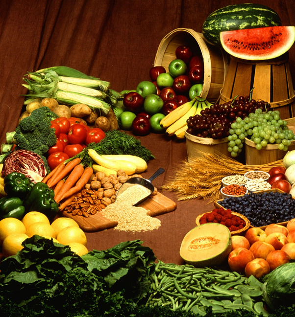Human Foods Dogs Can Eat