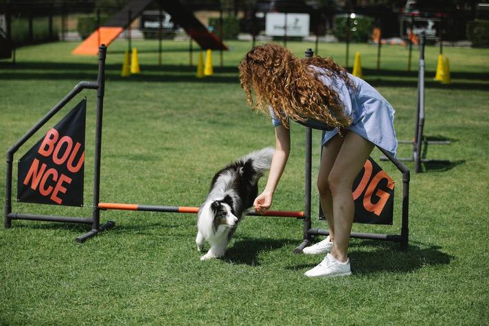Dog training