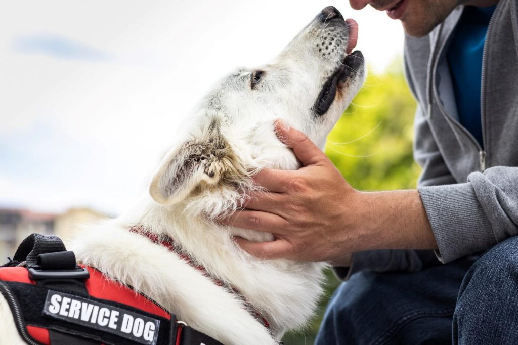 Man outdoors with his service dog