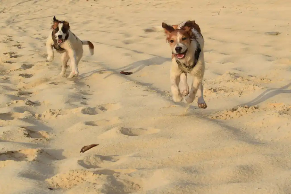 Perranporth Beach