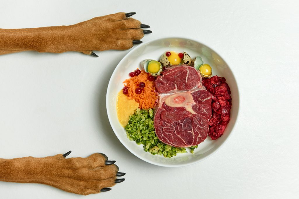 Raw dog food