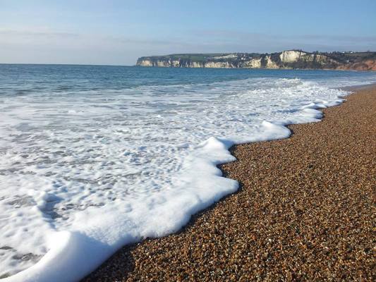 Dog Friendly beach in Devon