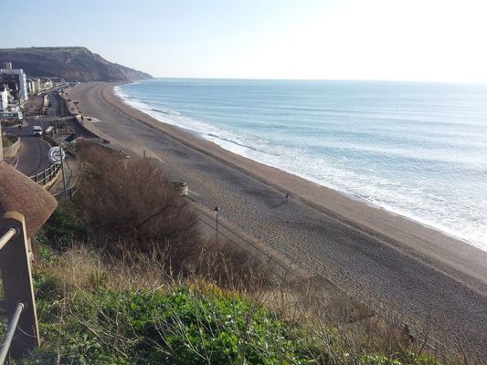 Dog Friendly beach in Seaton