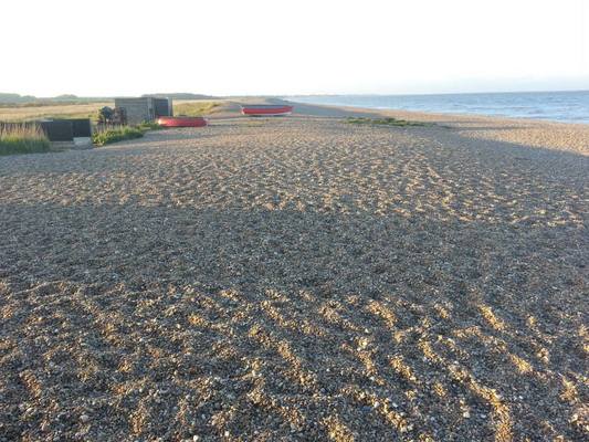 Dog Friendly beach in Suffolk