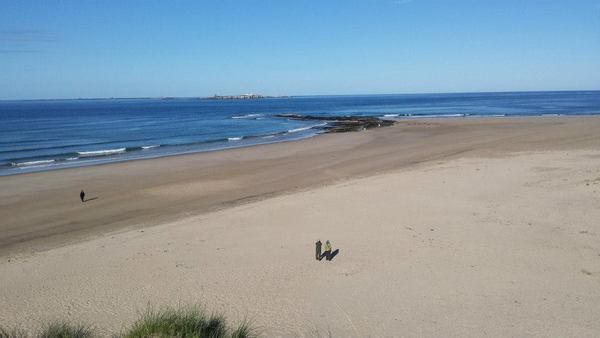 Dog Friendly Beach in Northumberland