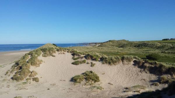Dog Friendly Beach in Bamburgh