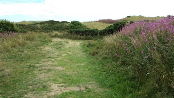 Dog Friendly Beach in Aberdeenshire