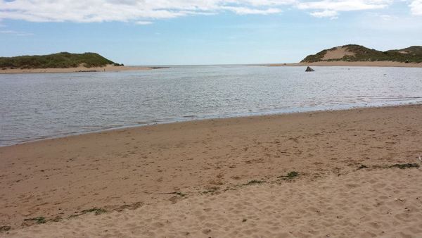 Dog Friendly Beach in Newburgh
