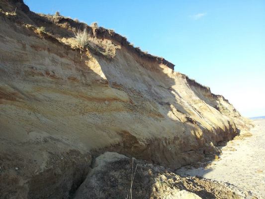 Dog Friendly beach in Covehithe