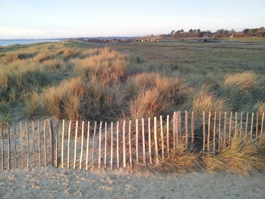 Dog Friendly Beach in Suffolk