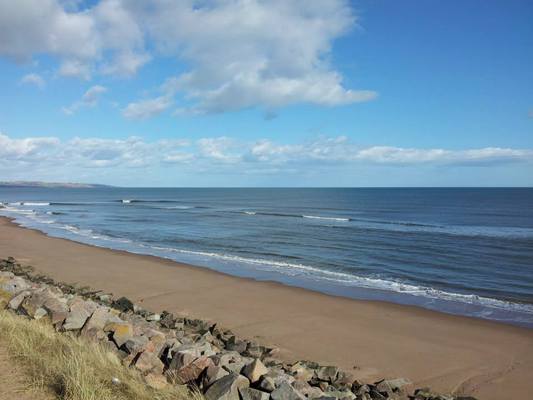 Dog Friendly Beach in Montrose