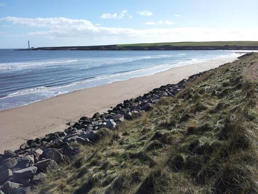 Dog Friendly Beach in Angus