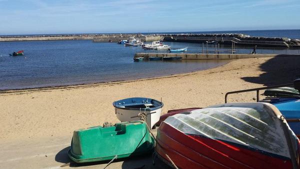 Dog Friendly Beach in Staithes