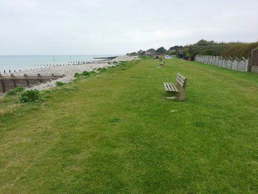 Dog Friendly Beach in West Sussex