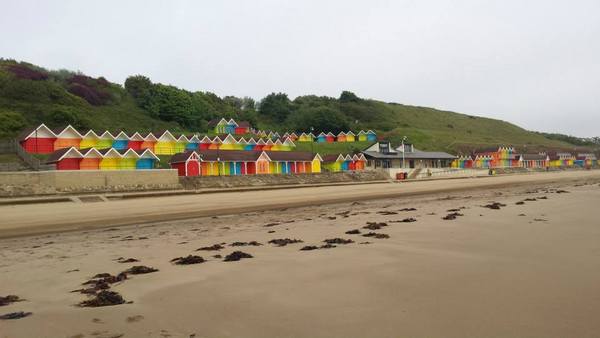 Dog Friendly Beach in Scarborough