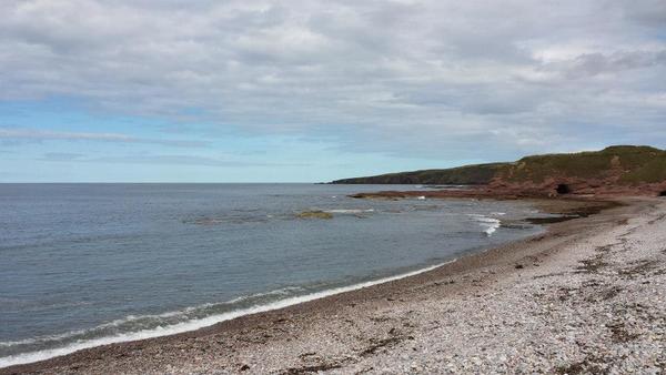 Dog Friendly Beach in Aberdeenshire