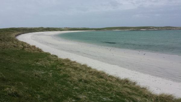 Dog Friendly Beach in Lochmaddy