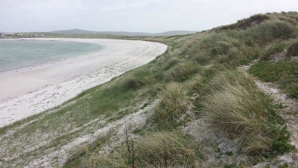 Dog Friendly Beach in Western Isles