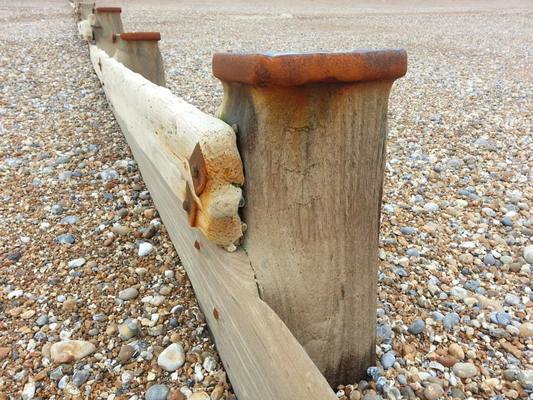 Dog Friendly Beach in East Sussex