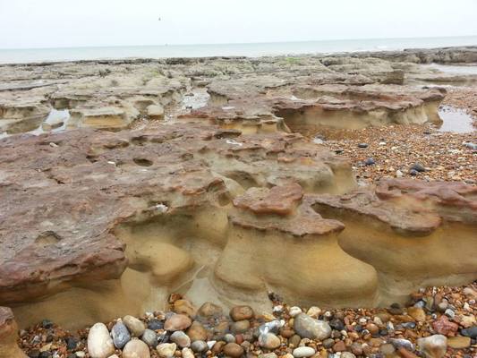 Dog Friendly Beach in Bexhill