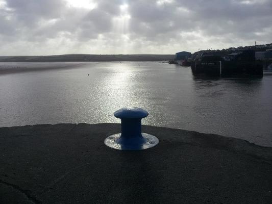 Dog Friendly Beach in Wadebridge