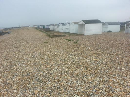 Dog Friendly Beach in West Sussex