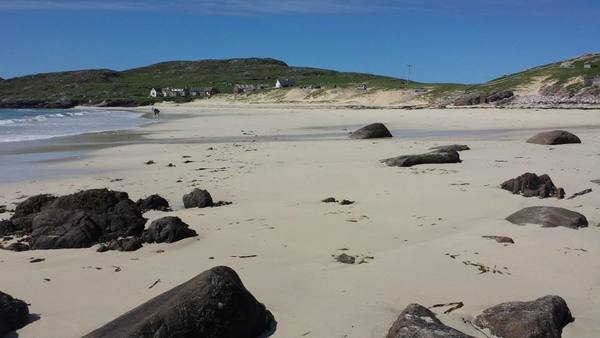 Dog Friendly Beach in Amhuinnsuidhe