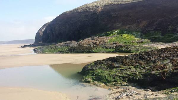 Dog Friendly Beach in Cornwall