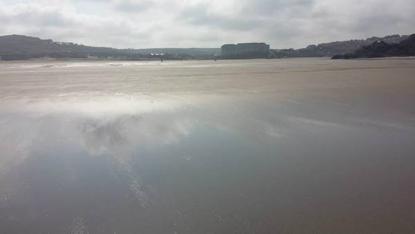 Dog Friendly Beach in Perranporth