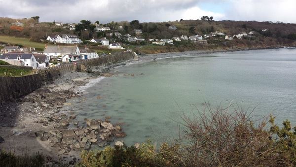 Dog Friendly Beach in Cornwall