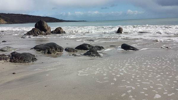 Dog Friendly Beach in Coverack