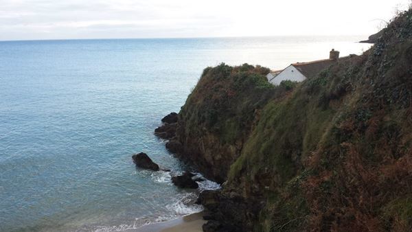 Dog Friendly Beach in Cornwall