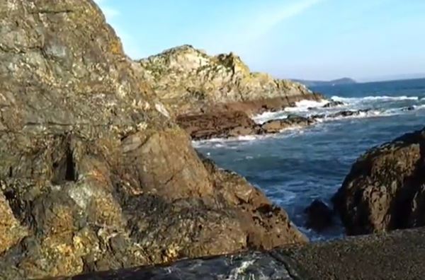 Dog Friendly Beach in Cornwall