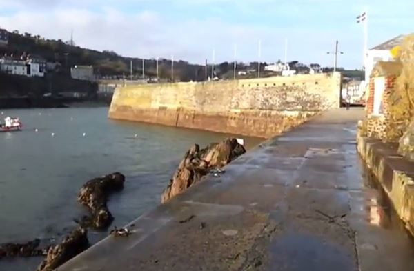 Dog Friendly Beach in Mevagissey