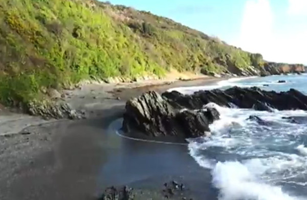 Dog Friendly Beach in West Looe