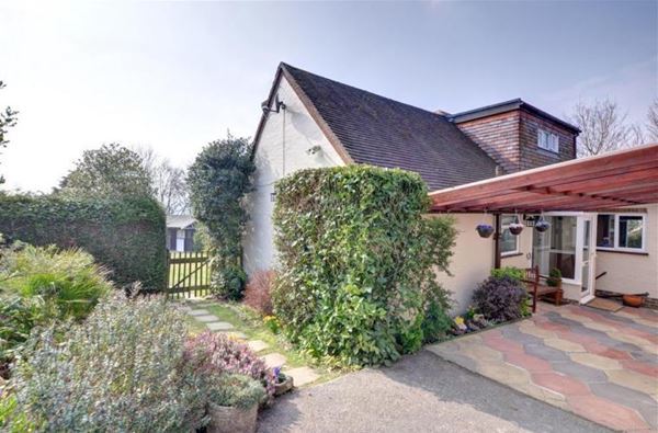 Dog Friendly Cottages in West Sussex