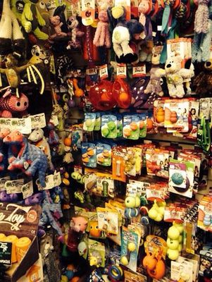 Pet Products